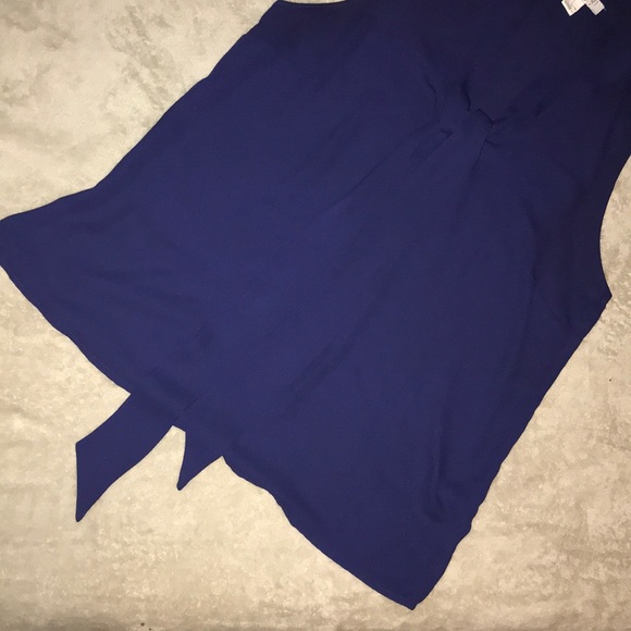 Navy Sheer sleeveless blouse - Picture 2 of 5